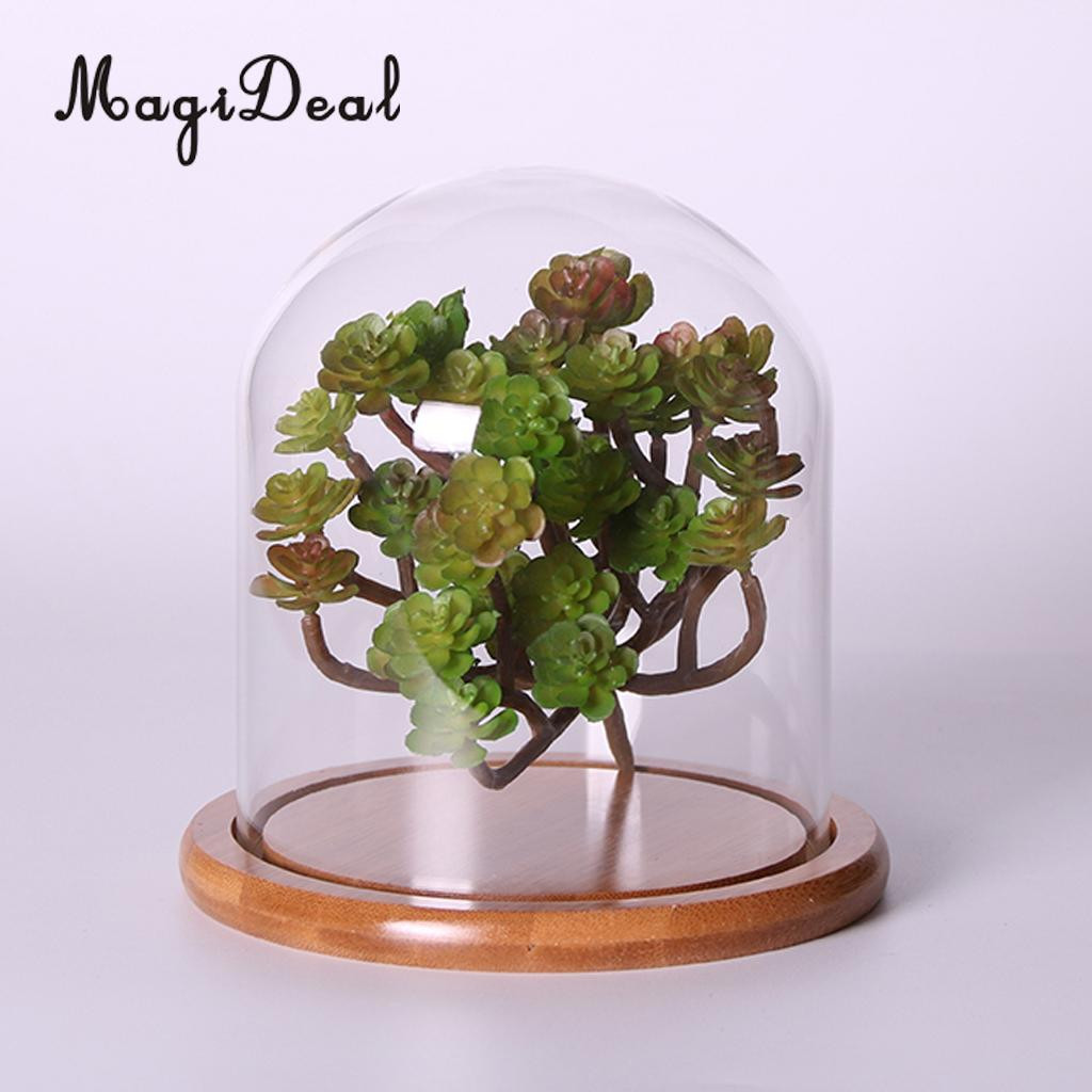 26 Unique Chinese Plant Vase 2024 free download chinese plant vase of magideal glass vase cover landscape vase terrarium bamboo tray plant throughout aeproduct getsubject