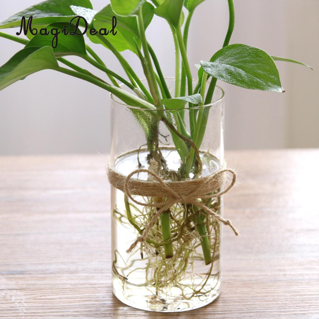 26 Unique Chinese Plant Vase 2024 free download chinese plant vase of magideal hydroponic plants glass flower vase decorative plant pot in magideal hydroponic plants glass vase flower vase decorative plant pot home decor great gift