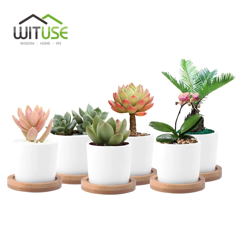 17 Stunning Clay Flower Vase 2024 free download clay flower vase of wituse white column flower pot ceramic succulent plant pot with wituse white column flower pot ceramic succulent plant pot decorative desktop fern plants clay garden pot 