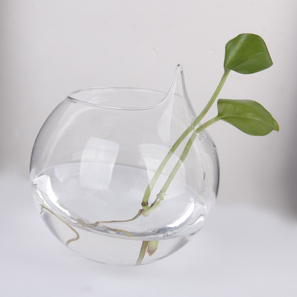 18 Cute Clear Bubble Glass Vase 2024 free download clear bubble glass vase of new hot clear ball shaped glass hanging vase bottle for plant flower inside new hot clear ball shaped glass hanging vase bottle for plant flower decoration vase po