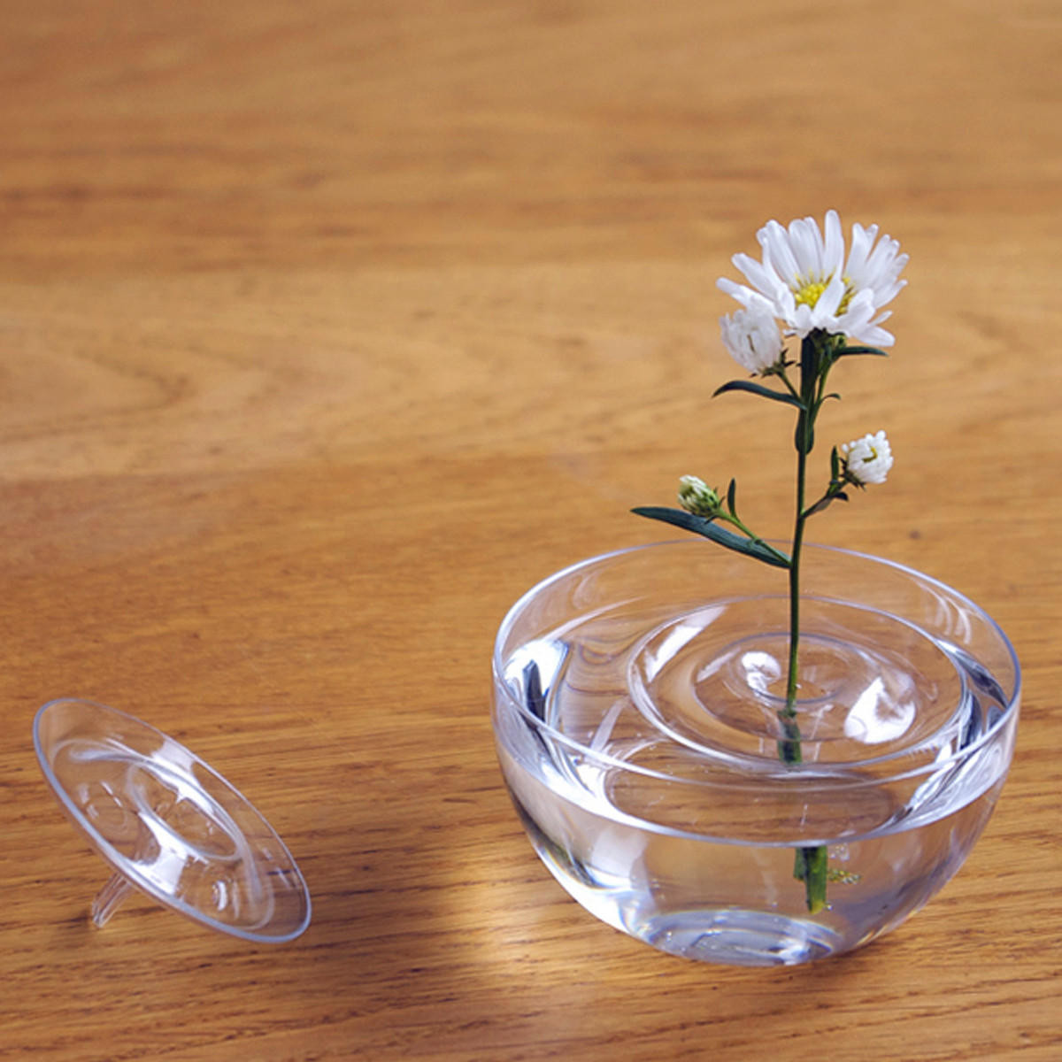 30 Stylish Clear Colored Glass Vases 2024 free download clear colored glass vases of clear floating plant vase plate dish creative water wave transparent with regard to clear floating plant vase plate dish creative water wave transparent glass bo