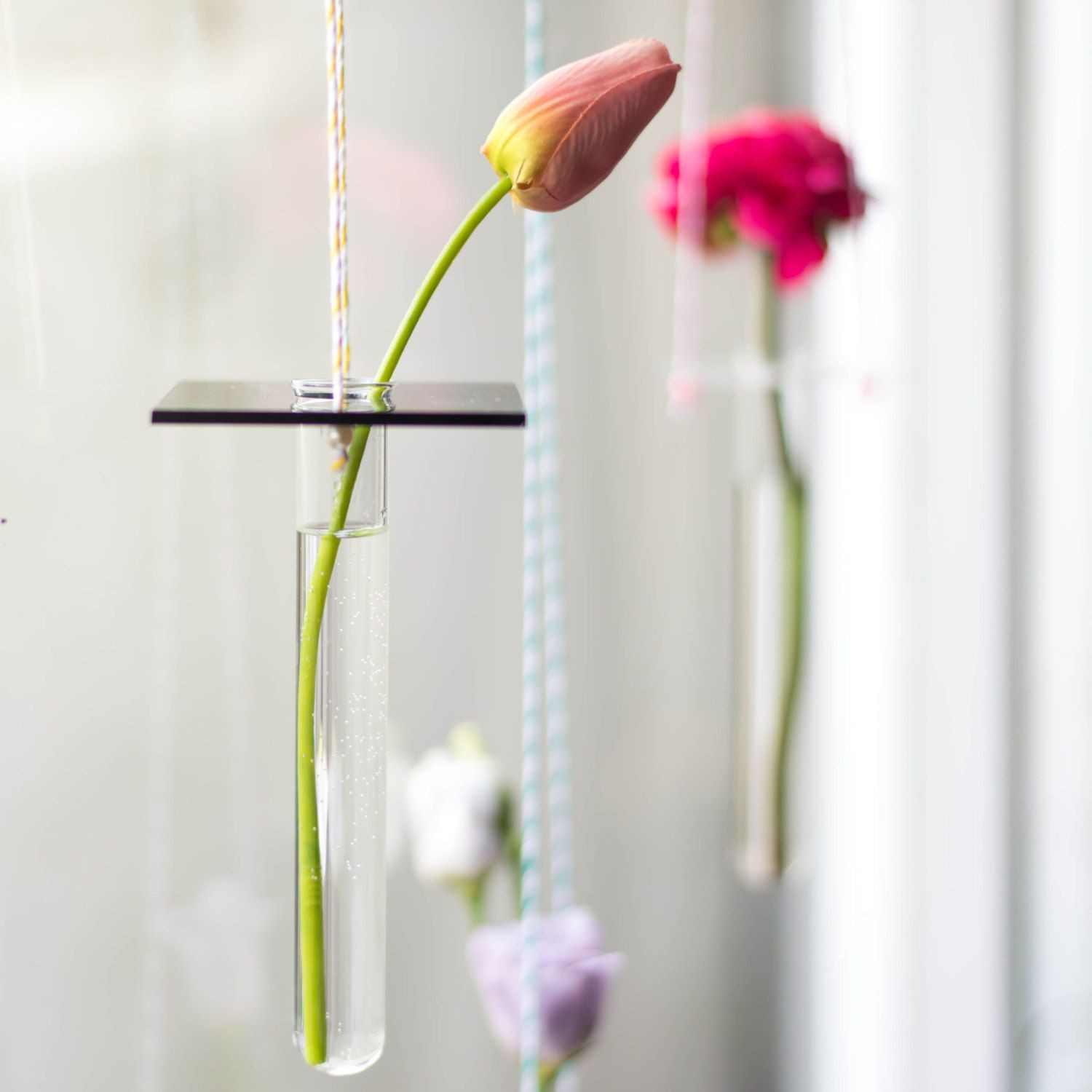 13 Fantastic Clear Glass Wall Vases 2024 free download clear glass wall vases of hanging vase minimal hanging vase test tube vase party with regard to this stylish minimal flower display will brighten up any window or wall simply place a