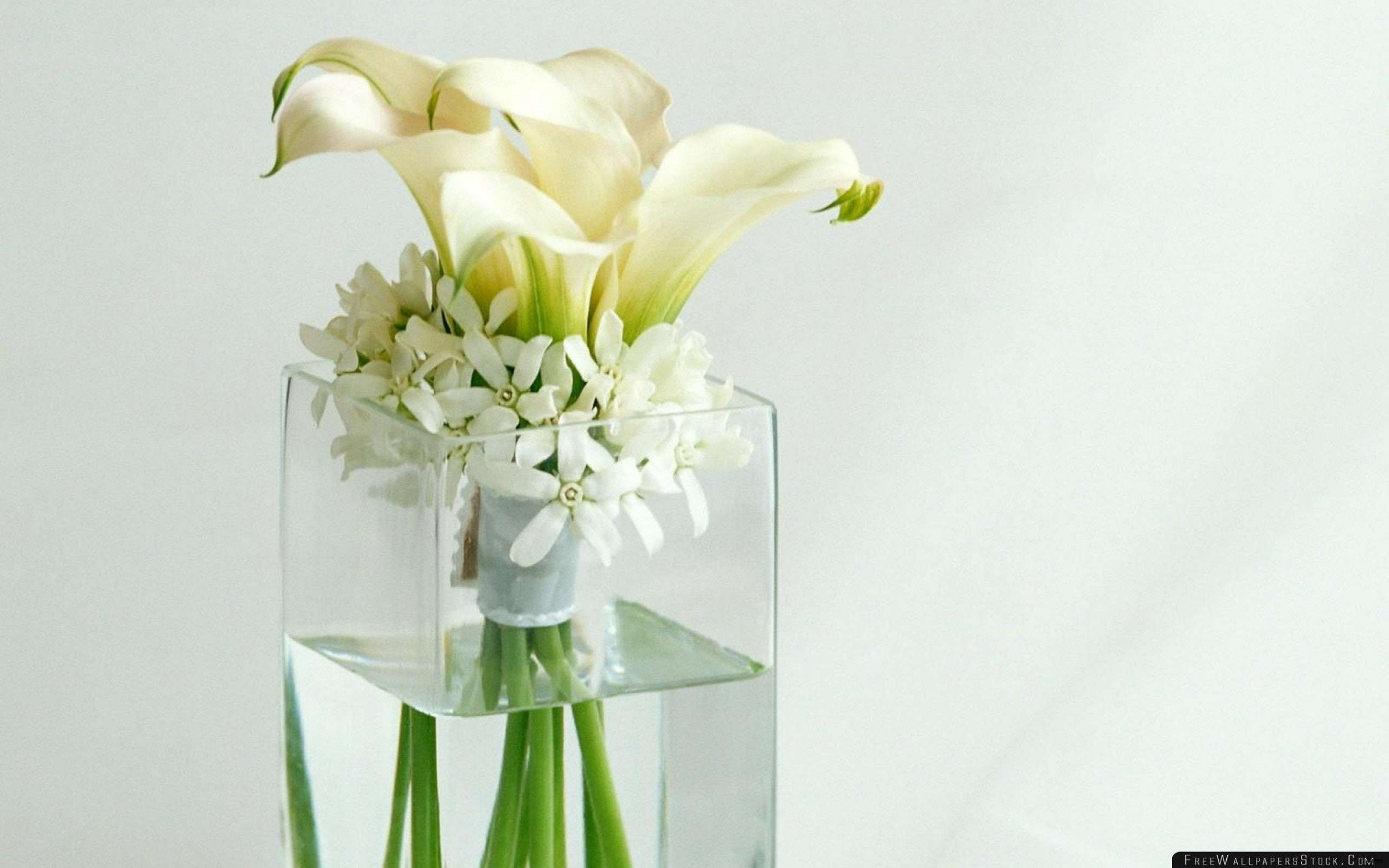 24 Wonderful Clear Plastic Vases 2024 free download clear plastic vases of h vases wall hanging flower vase newspaper i 0d scheme wall scheme regarding image de tall vase centerpiece ideas vases flowers in water 0d artificial vase blanc