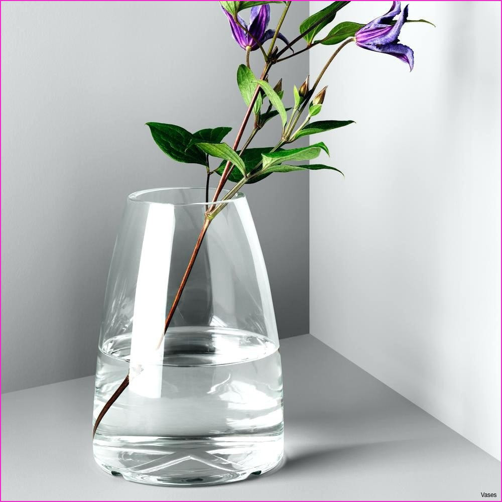 24 Wonderful Clear Plastic Vases 2024 free download clear plastic vases of plastic vases in bulk image bulk wedding supplies cheap neat 9 clear within plastic vases in bulk image bulk wedding supplies cheap neat 9 clear plastic tapered square