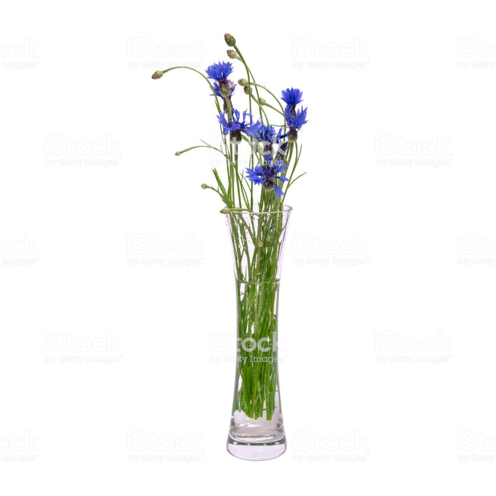 18 Cute Cobalt Blue Square Vases 2024 free download cobalt blue square vases of a bouquet of blue spring flowers in a glass transparent vase is with a bouquet of blue spring flowers in a glass transparent vase is isolated on a white