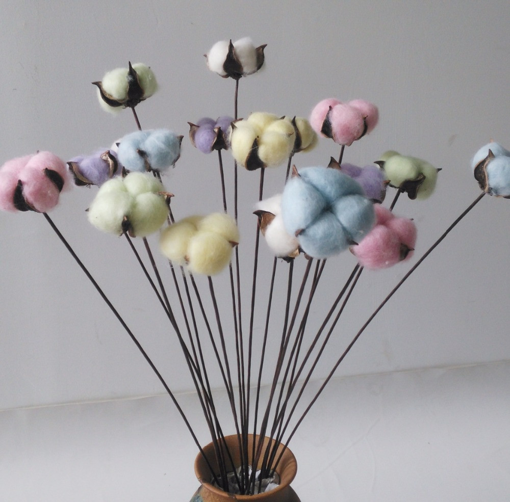 13 Fabulous Cotton Stems In Glass Vase 2024 free download cotton stems in glass vase of natural dried pampas grass phragmites communismixed colorswedding with regard to 18 pieces colorful dyed cotton boll balls wire stem 6 color mixed cotton stalks