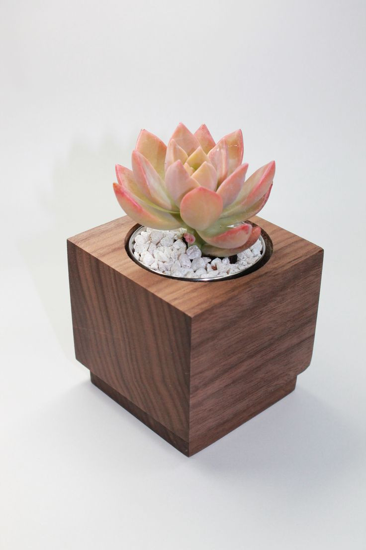 21 Spectacular Cube Picture Frame Vase 2024 free download cube picture frame vase of 20 best cube images on pinterest cube cubes and ocean with graptosedum california sunset potted in a walnut cube designed by dms design in fl