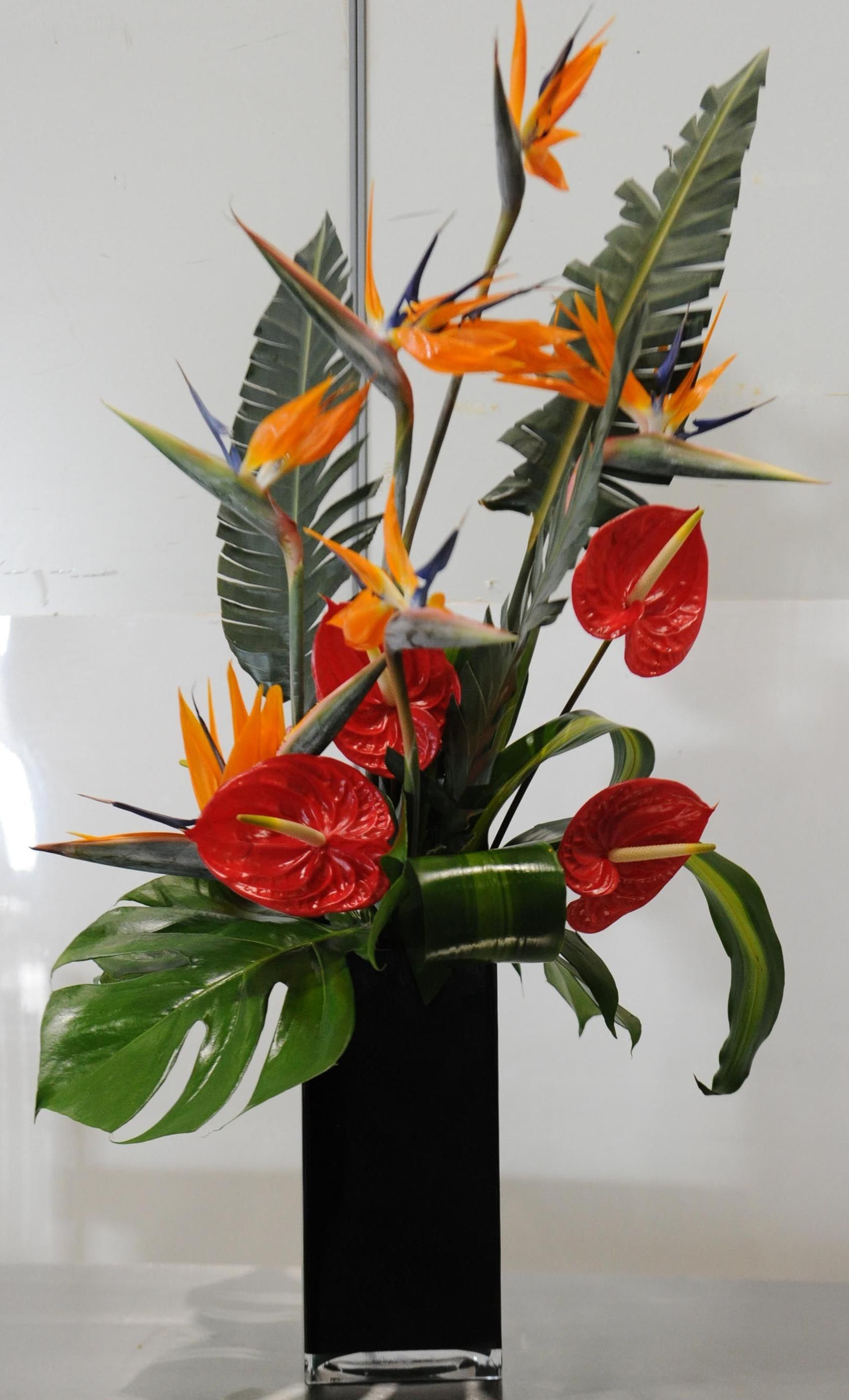 29 Spectacular Cube Vase Flower Arrangements 2024 free download cube vase flower arrangements of 60 od bird of paradise red anthurium mixed foliage misc with regard to 60 od bird of paradise red anthurium mixed foliage