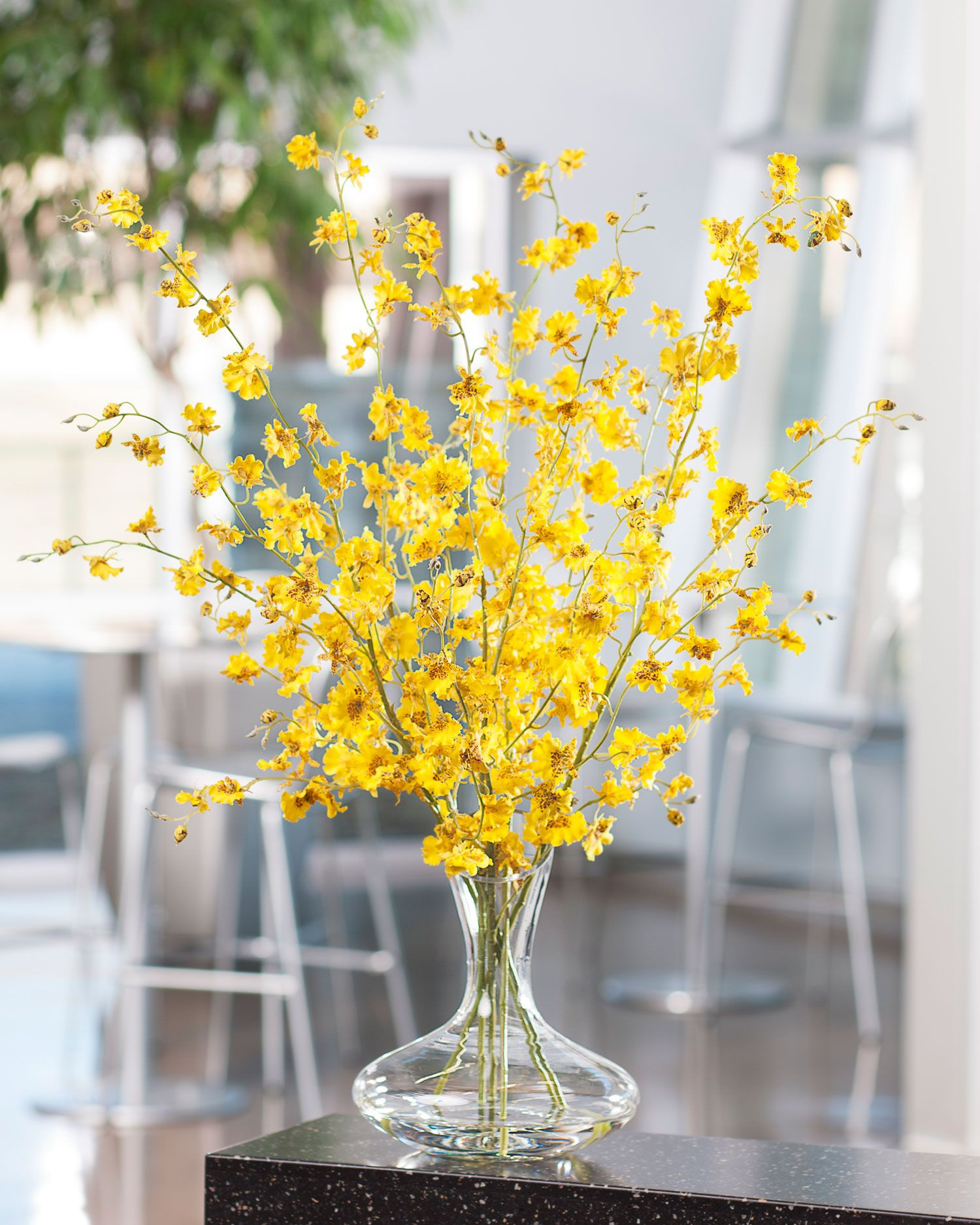 19 Lovely Debi Lilly Design Illusion Vases 2024 free download debi lilly design illusion vases of dancing silk oncidium orchid stems appear to drink from our crystal in dancing silk oncidium orchid stems appear to drink from our crystal clear acrylic w