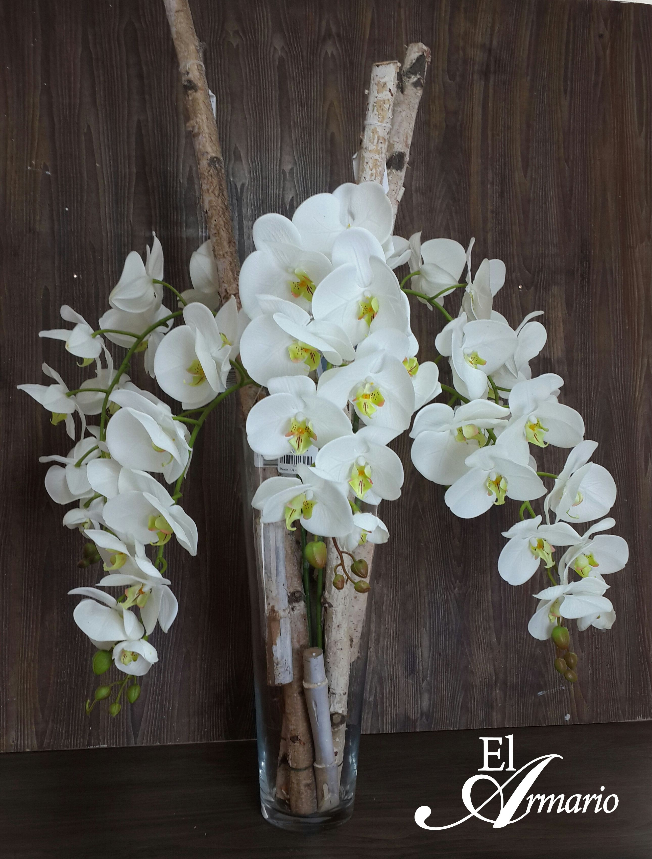 27 Fabulous Decorative Bamboo Sticks In Vase 2024 free download decorative bamboo sticks in vase of arrangement of white orchids with white wooden sticks and glass vase with regard to arrangement of white orchids with white wooden sticks and glass vasear