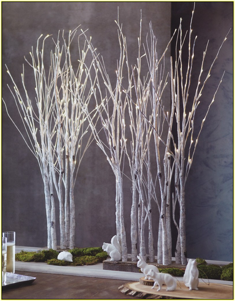 15 Lovely Decorative Branches for Vases 2024 free download decorative branches for vases of decorating with birch tree branches zef jam in white birch trees for decorating migrant resource network