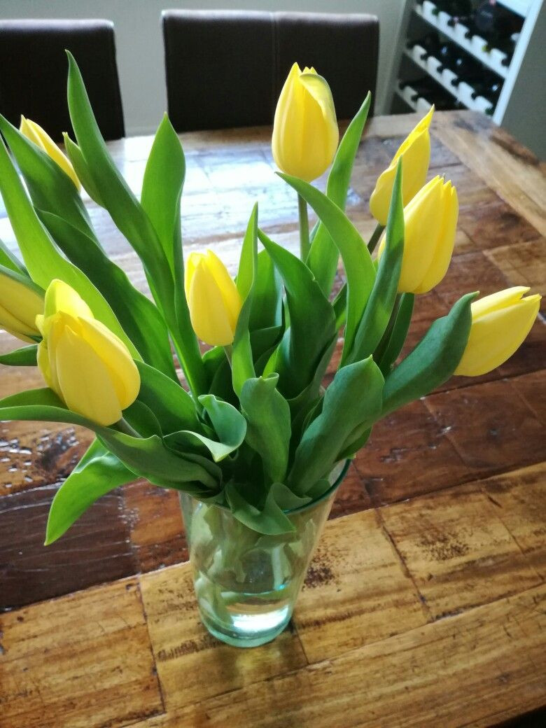 21 Best Dutch Tulip Vase 2024 free download dutch tulip vase of 17 04 2017 2e paasdag dutch tulips from ruben en marleen flowers throughout dutch tulips from ruben en marleen