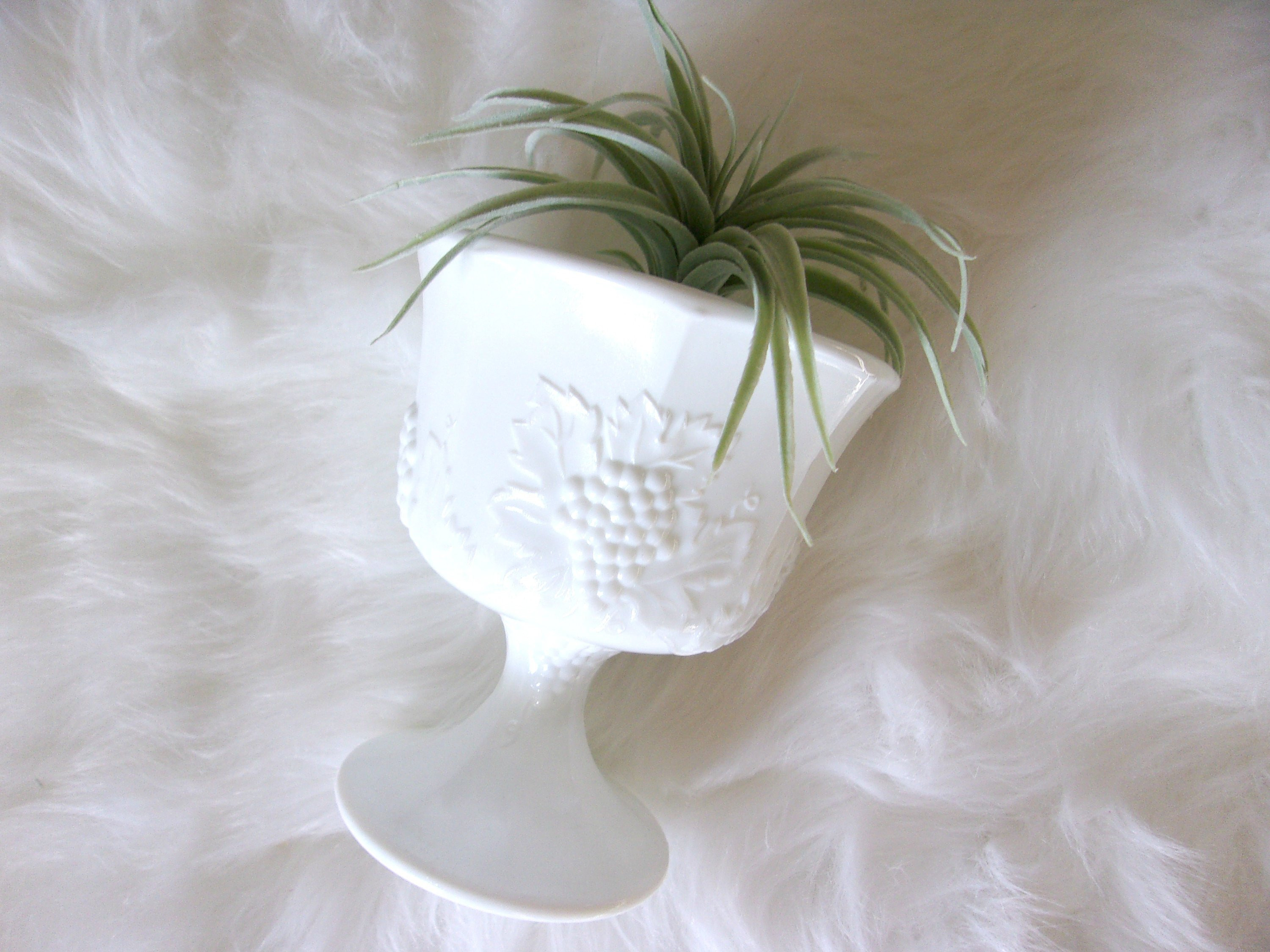 18 Trendy E O Brody Vase 2024 free download e o brody vase of milk glass planter vintage milk glass footed compote wedding etsy intended for dc29fc294c28ezoom