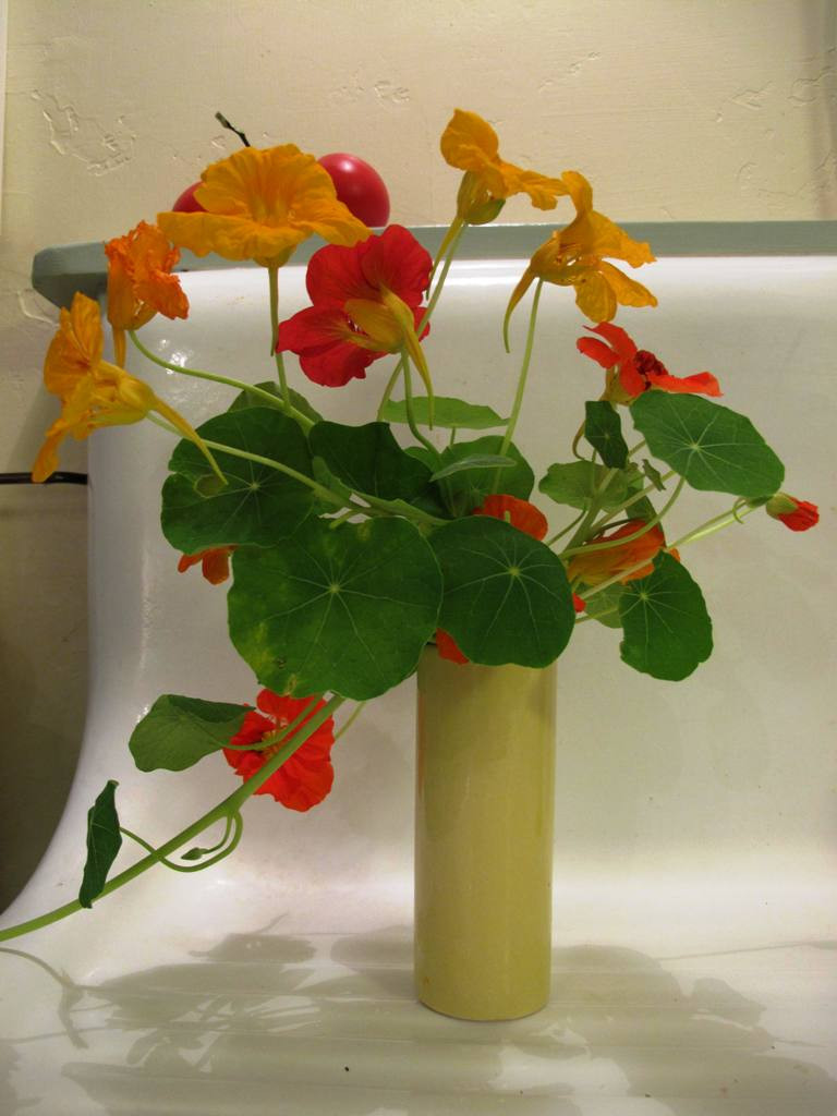 27 attractive Empty Vase Florist Los Angeles 2024 free download empty vase florist los angeles of debra prinzing a writing pertaining to a bud vase displays charming nasturtium flowers and foliage on the edge of the kitchens