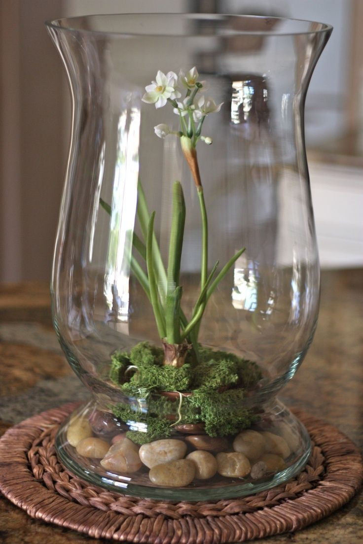 28 Popular Extra Large Glass Hurricane Vases 2024 free download extra large glass hurricane vases of extra large glass vase image 45 adorable spring terrariums for home in extra large glass vase image 45 adorable spring terrariums for home dacor digsdigs