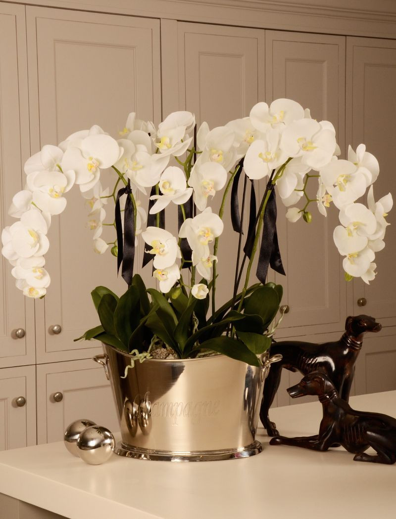 21 Spectacular Extra Large White Vase 2024 free download extra large white vase of orchid in a large champagne cooler rtfact artificial silk within orchid in a large champagne cooler rtfact artificial silk flowers