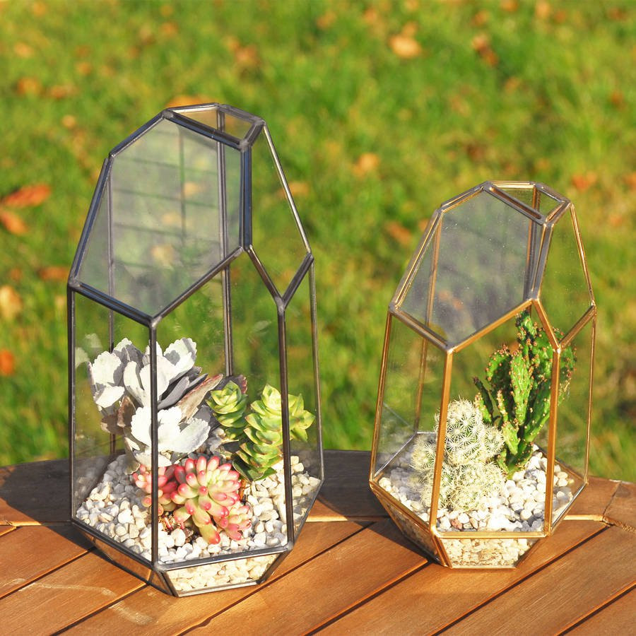 22 Stylish Faceted Glass Vase 2024 free download faceted glass vase of geometric glass vase terrarium by dingading terrariums within geometric glass vase terrarium