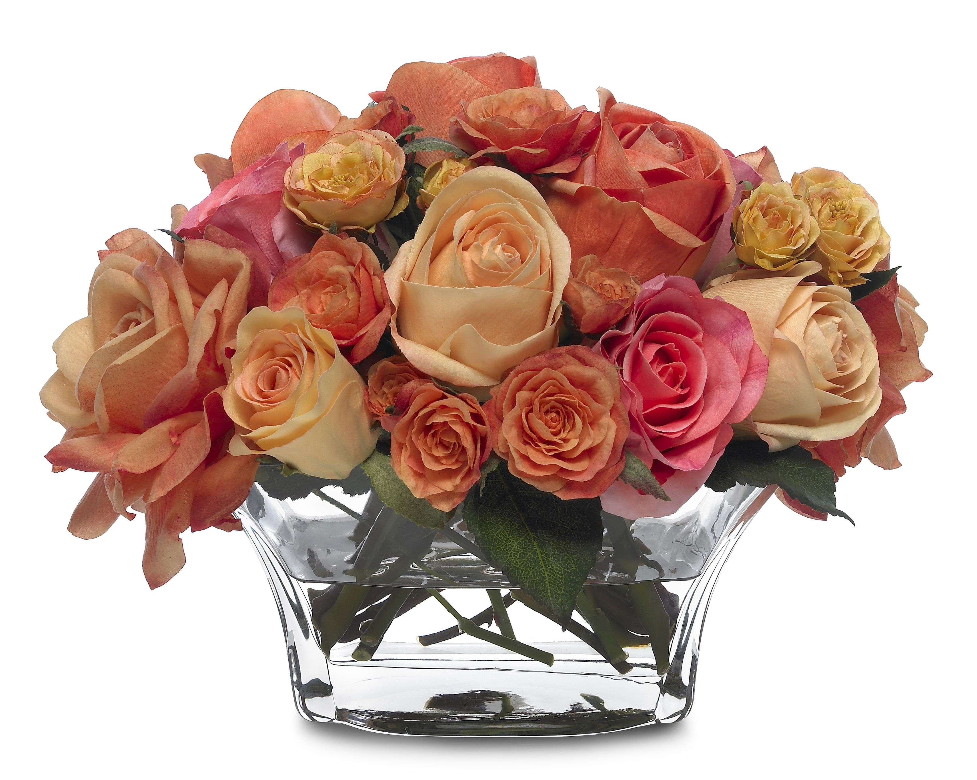 25 attractive Fake Flowers In Water Vase 2024 free download fake flowers in water vase of 13 top varieties for cut flowers throughout roses gettyimages 173568097 59d4fc4c396e5a0011e09dbb