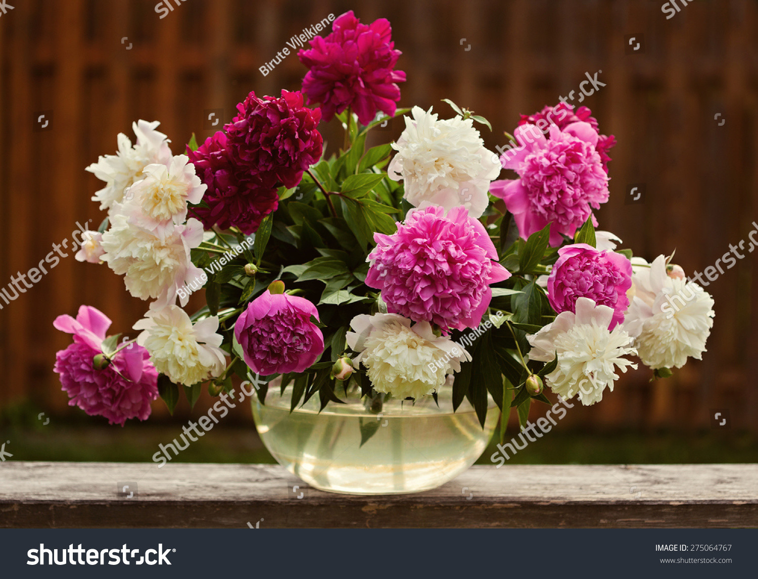 29 attractive Fake Pink Peonies In Vase 2024 free download fake pink peonies in vase of peony flowers ez canvas with regard to stock photo white pink and burgundy peony bouquet in the round glass vase 275064767