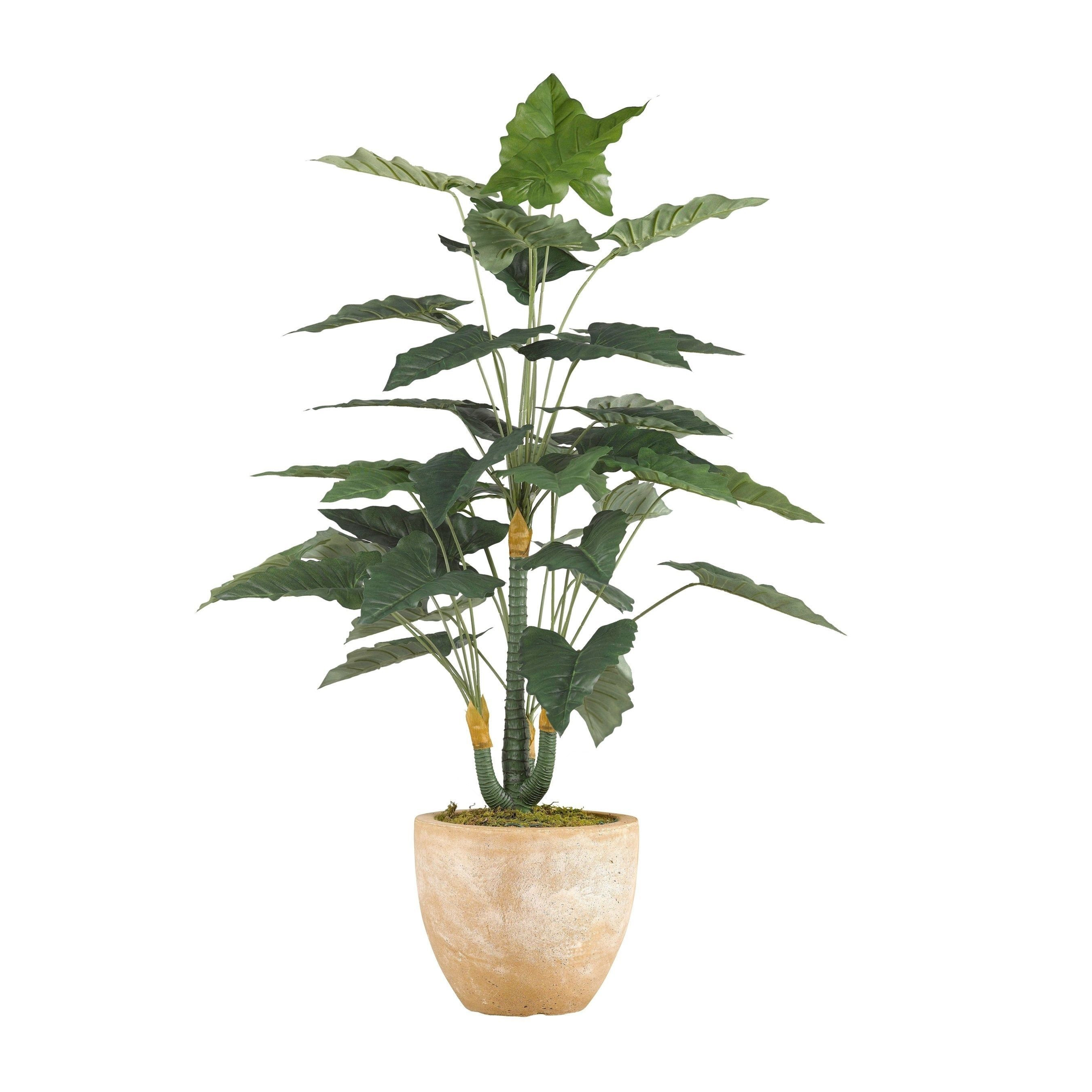 26 attractive Fake Plants for Vases 2024 free download fake plants for vases of dw silks 36 inch philo plant in round resin planter planter throughout dw silks 36 inch philo plant in round resin planter planter green