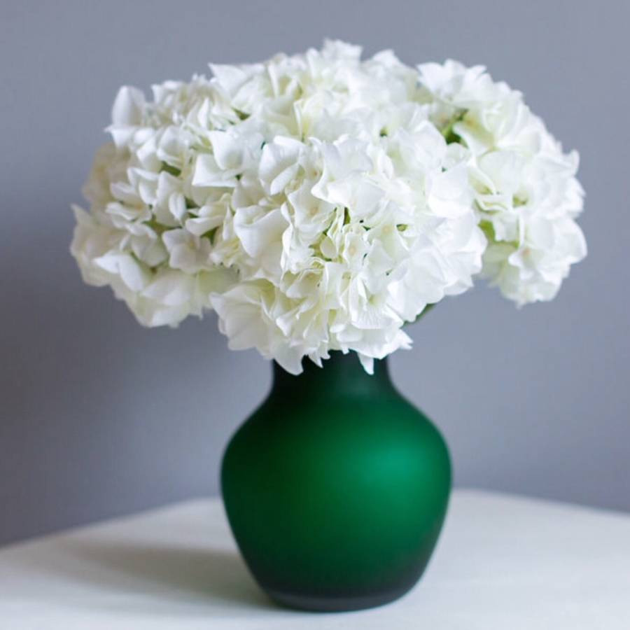 11 Famous Faux Hydrangea In Glass Vase 2024 free download faux hydrangea in glass vase of 15 beautiful silk hydrangea in vase bogekompresorturkiye com with regard to faux hydrangea arrangement