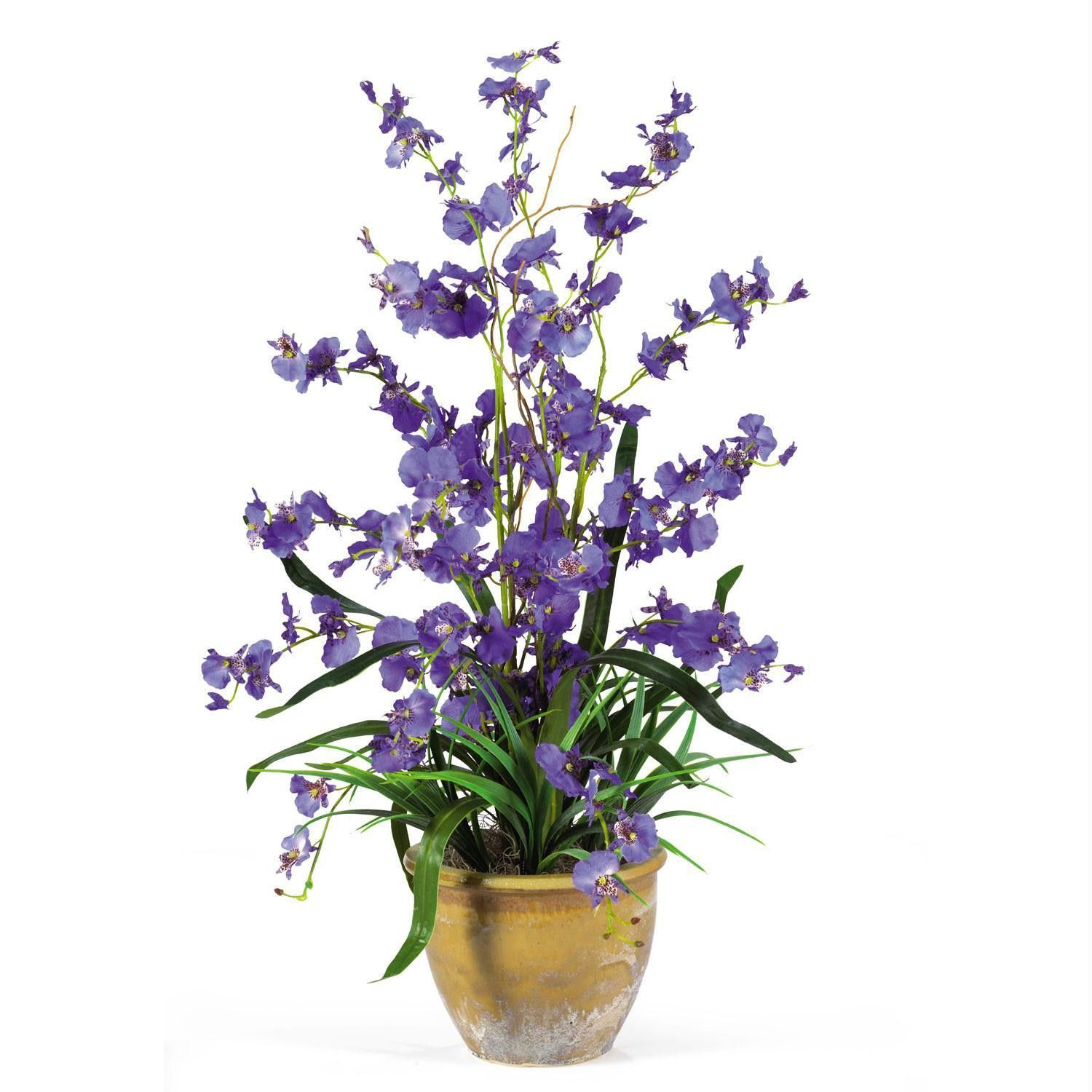 25 attractive Faux orchid In Vase 2024 free download faux orchid in vase of dancing lady silk orchid arrangement products pinterest silk inside dancing lady silk orchid arrangement