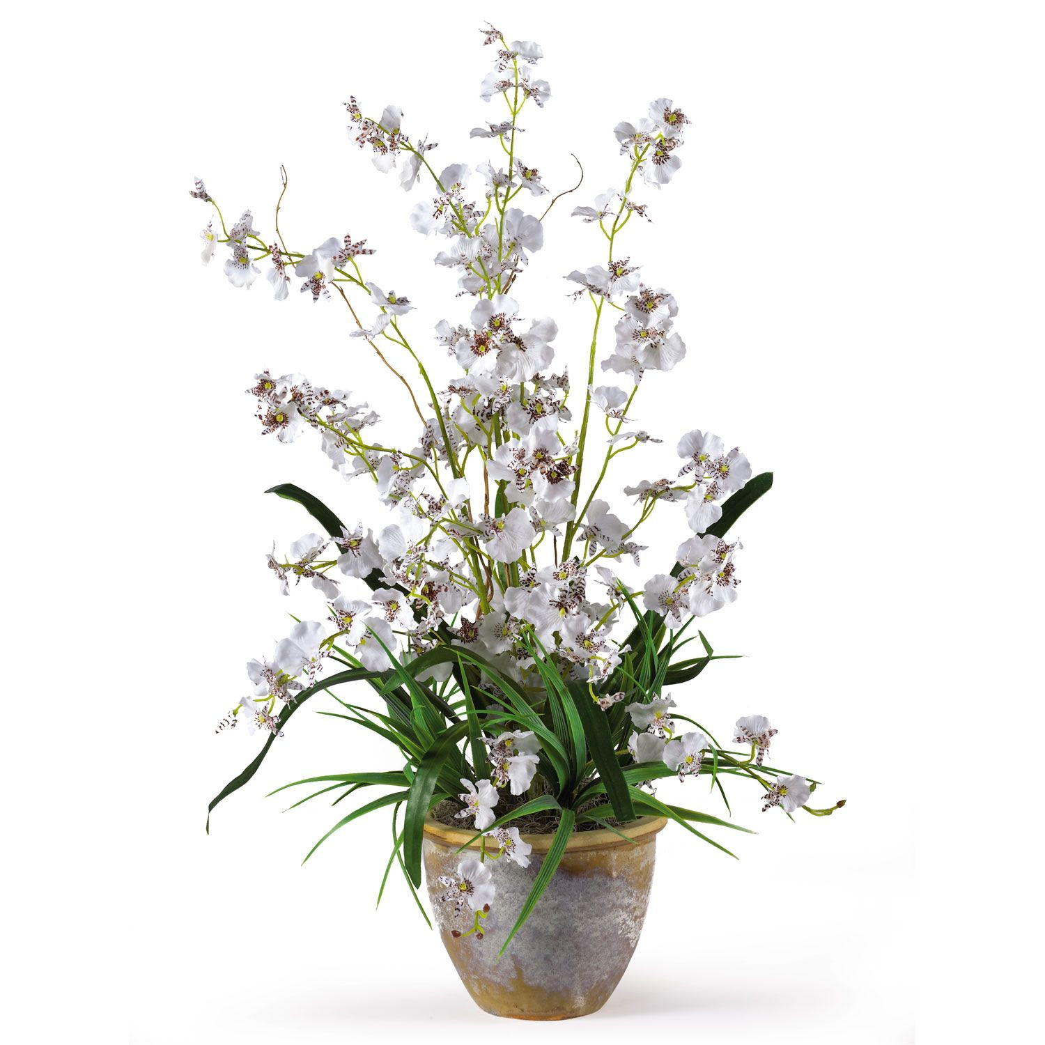 25 attractive Faux orchid In Vase 2024 free download faux orchid in vase of dancing lady silk orchid arrangement silk orchid flower regarding dancing lady silk orchid arrangement this silk arrangement features dozens of full blooms