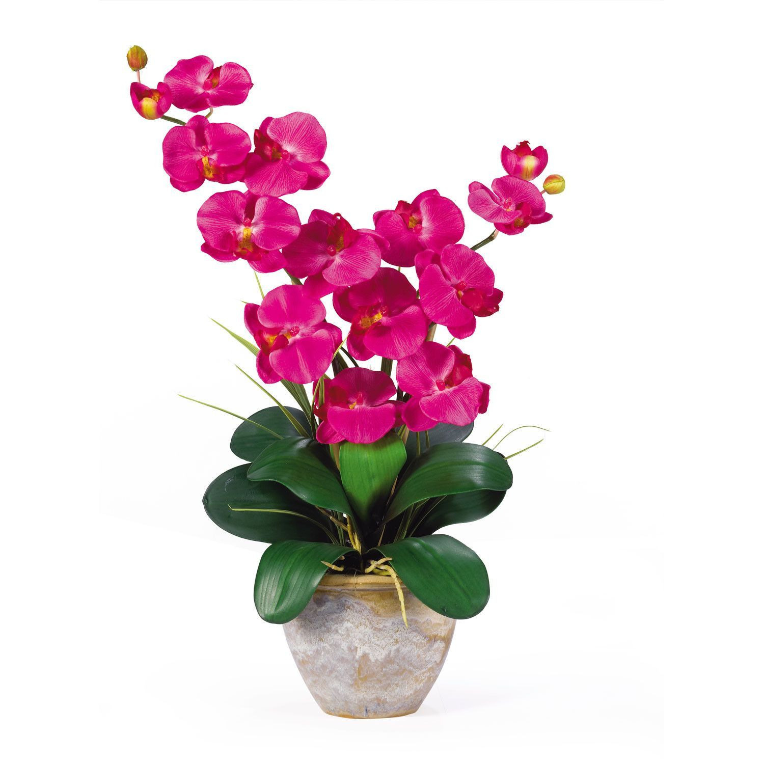 25 attractive Faux orchid In Vase 2024 free download faux orchid in vase of double stem phalaenopsis silk orchid arrangement products silk intended for double stem phalaenopsis silk orchid arrangement