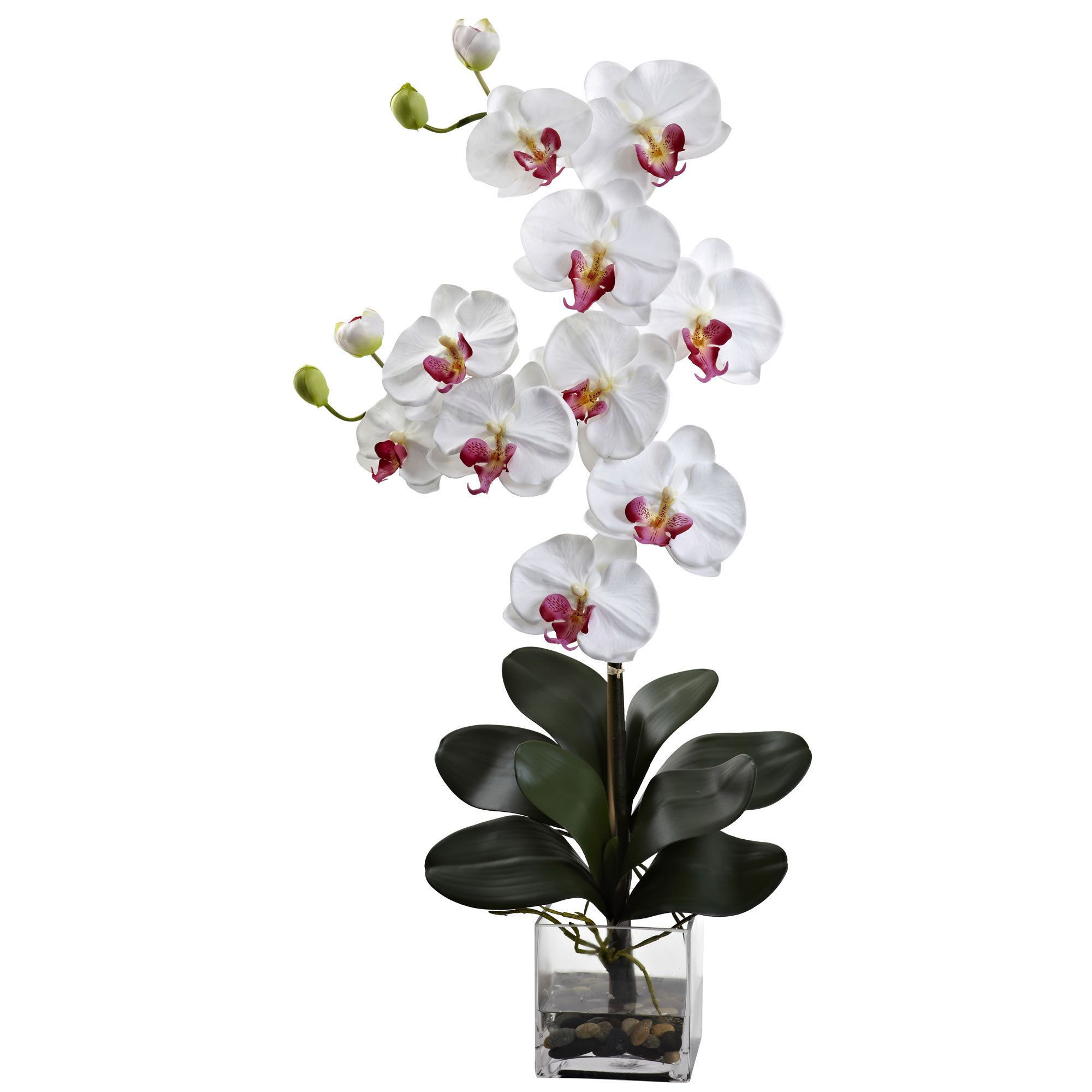 25 attractive Faux orchid In Vase 2024 free download faux orchid in vase of nearly double giant phalenopsis with vase products pinterest with nearly double giant phalenopsis with vase