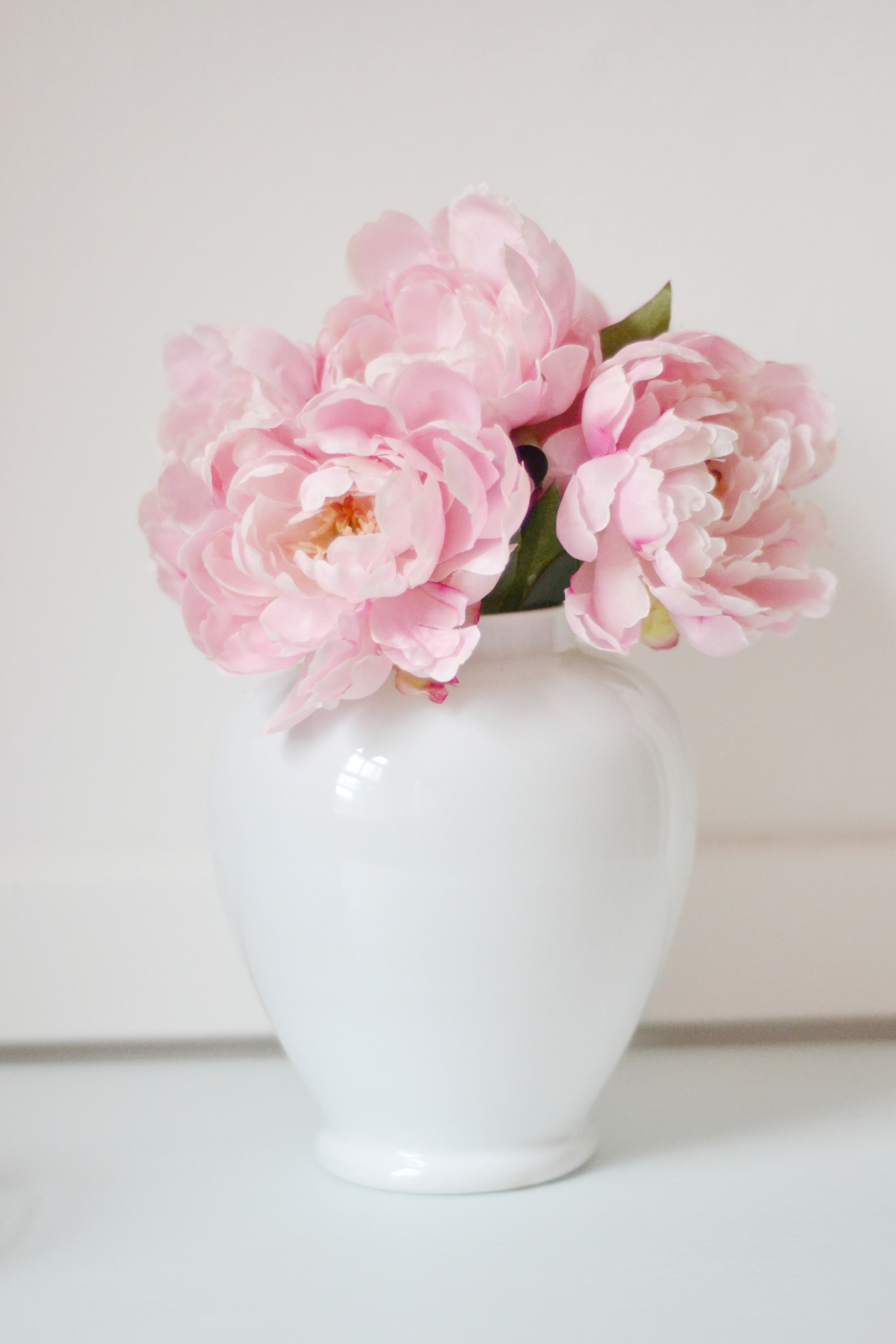 14 Nice Faux White Peonies In Vase 2024 free download faux white peonies in vase of diy archives peonies on pleasant within some tips for working with faux florals