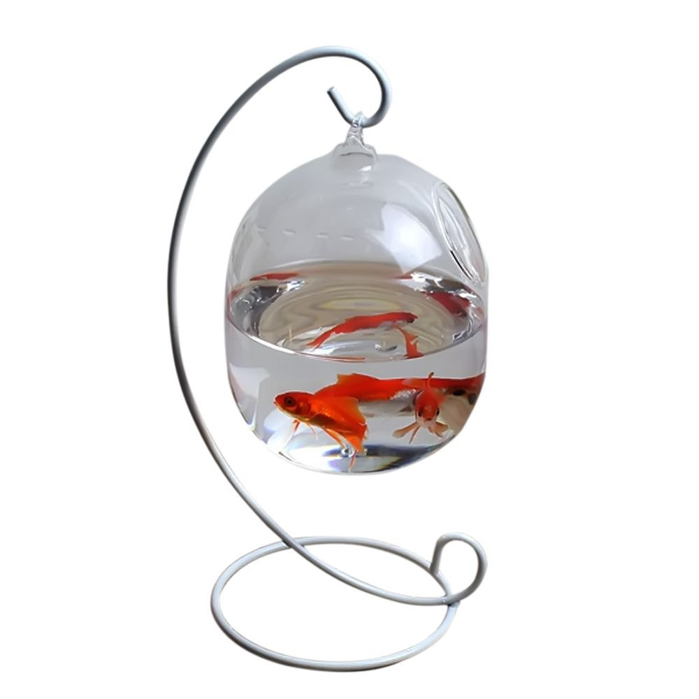 28 Perfect Fish Shaped Glass Vase 2024 free download fish shaped glass vase of behokic clear 12cm height hanging glass aquarium fish bowl fish tank with behokic clear 12cm height hanging glass aquarium fish bowl fish tank flower plant vase wit