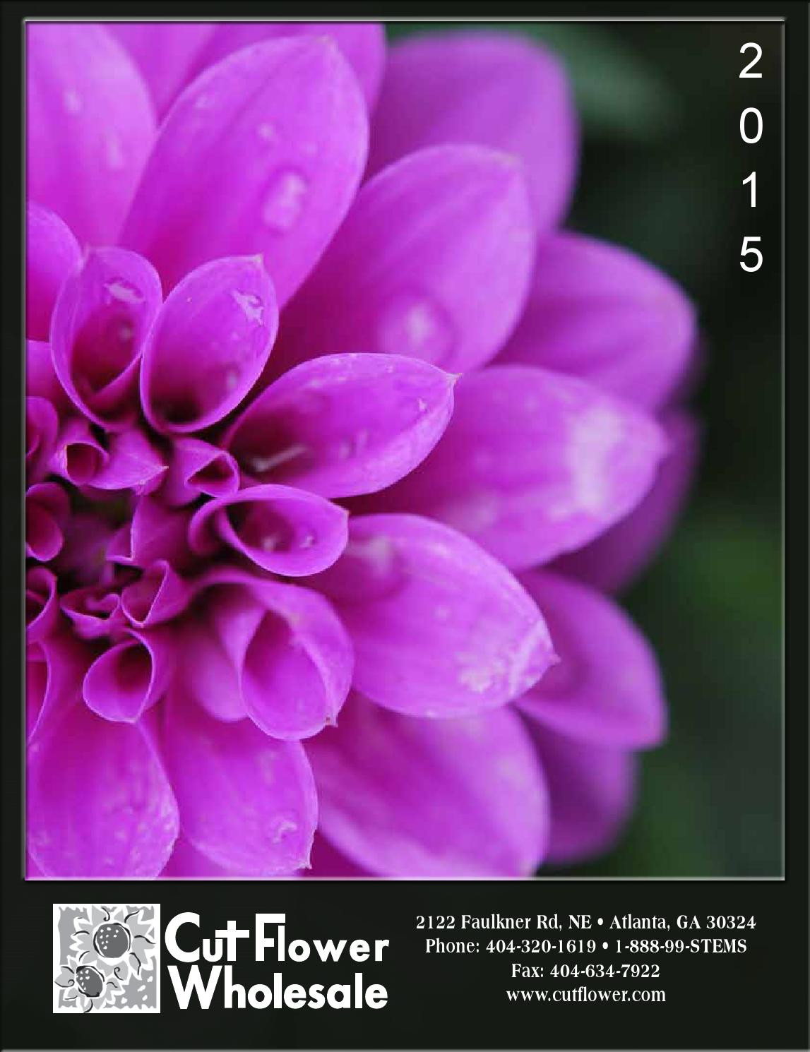 23 Lovely Floral Vases and Containers wholesale 2024 free download floral vases and containers wholesale of 2015 cut flower wholesale catalog by cut flower wholesale inc issuu within page 1