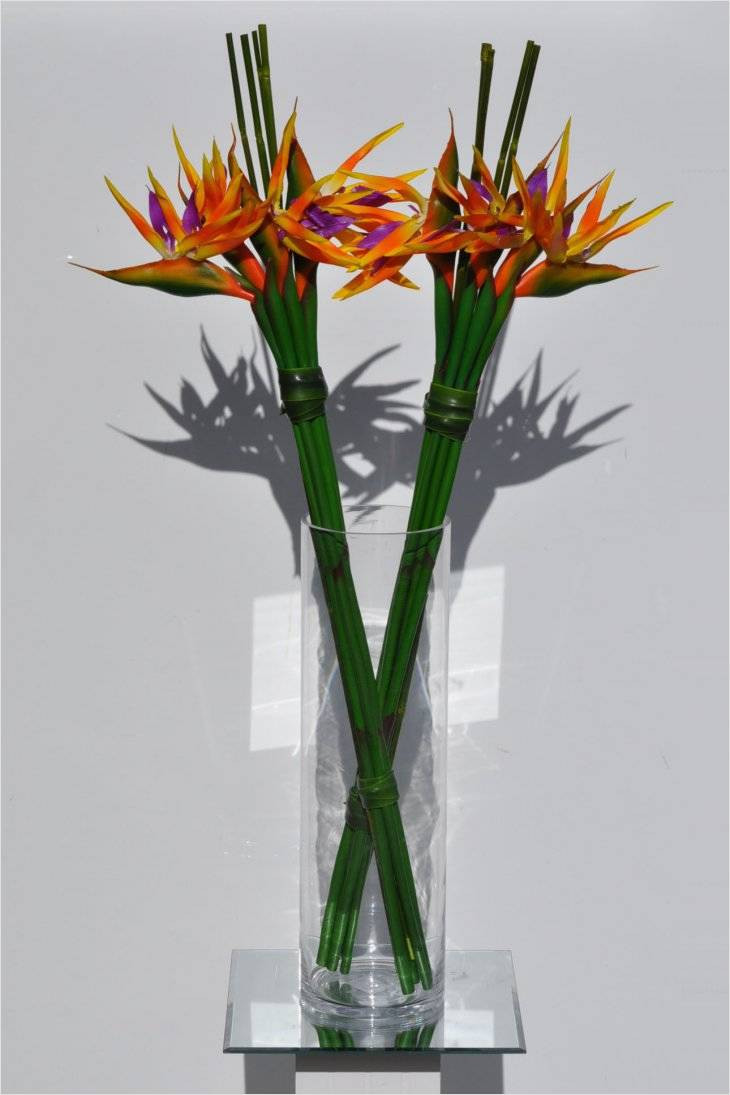 23 Famous Floral Vases wholesale 2024 free download floral vases wholesale of cool ideas on bud vases wholesale for beautiful home interior inside newest inspiration on bud vases wholesale for use decorated living rooms photos this is so amaz