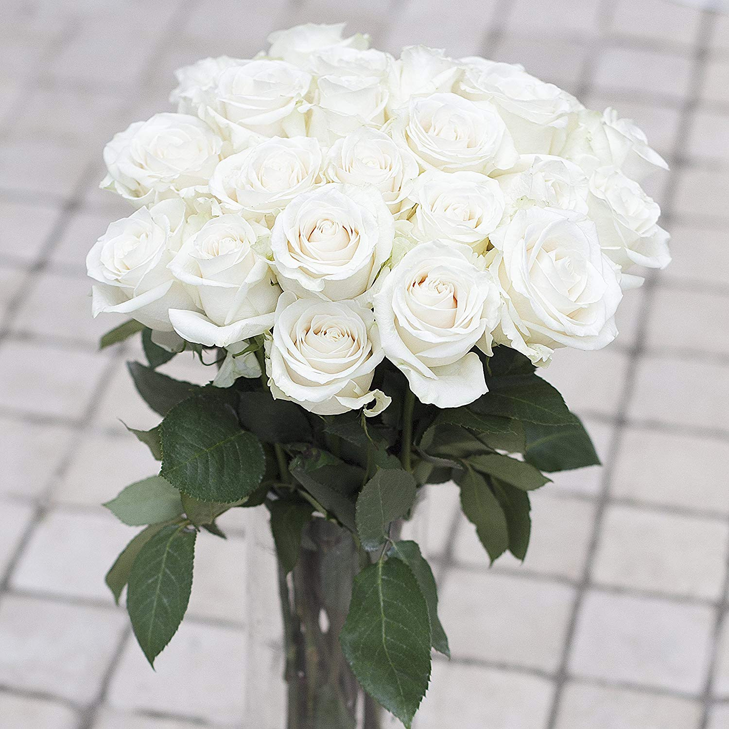 18 attractive Flower Delivery No Vase 2024 free download flower delivery no vase of amazon com greenchoice flowers 24 fresh cut white roses 27 5 within amazon com greenchoice flowers 24 fresh cut white roses 27 5 super long stems no vase garden ou