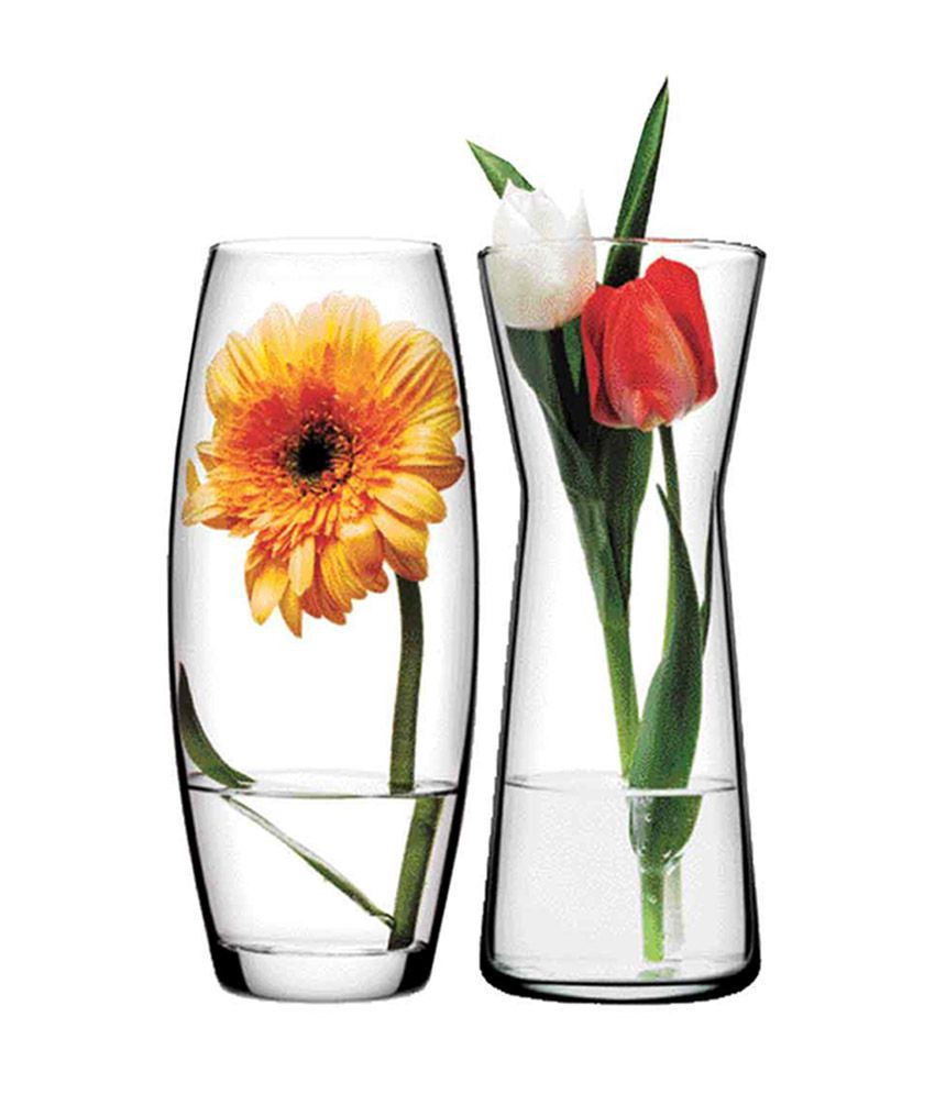 29 Stylish Flower Vase Led Lights 2024 free download flower vase led lights of pasabahce glass gardenia flower vase set of 2 buy pasabahce glass in pasabahce glass gardenia flower vase set of 2