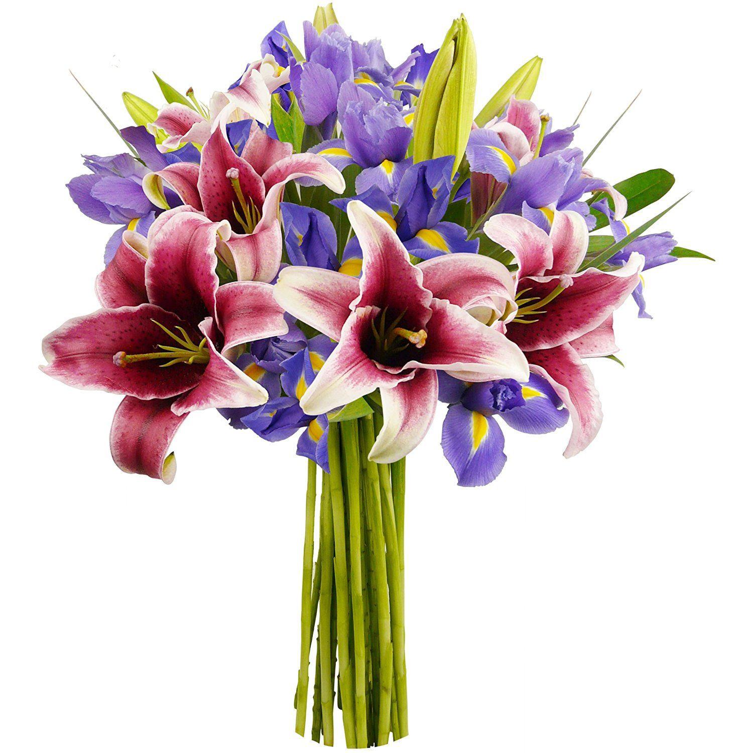 29 Fashionable Flowers No Vase 2024 free download flowers no vase of benchmark bouquets stargazer lilies and iris no vase learn more for benchmark bouquets stargazer lilies and iris no vase learn more by visiting the image link this is an a