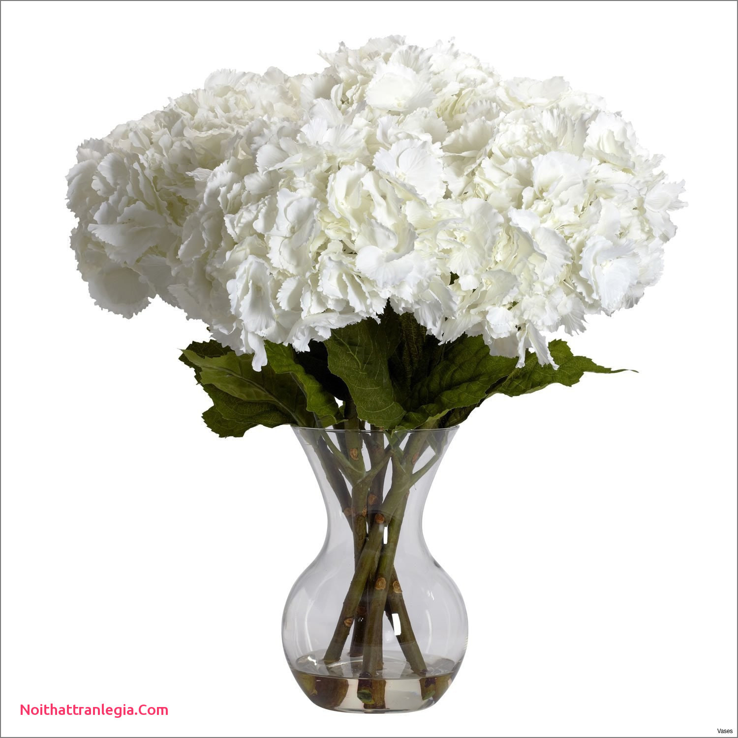 23 Great Flowers that Last Long In A Vase 2024 free download flowers that last long in a vase of 20 how to clean flower vases noithattranlegia vases design intended for 5mm yoga mat inspirational original silk peonys in glass vaseh vases flowers a vas