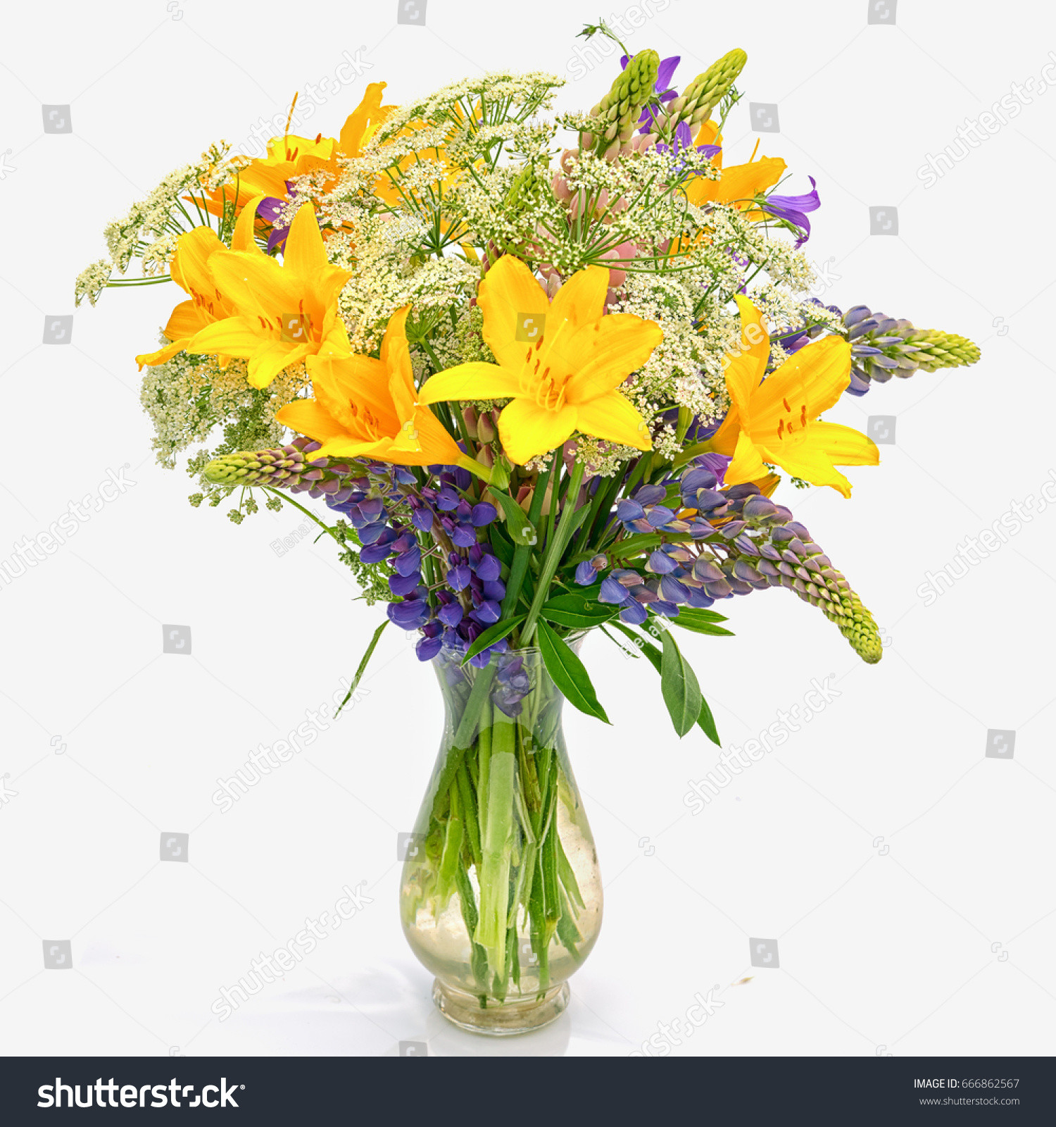 23 Great Flowers that Last Long In A Vase 2024 free download flowers that last long in a vase of bouquet od wild flowers achillea millefolium stock photo edit now pertaining to bouquet od wild flowers achillea millefolium day lily and lupine in a tran