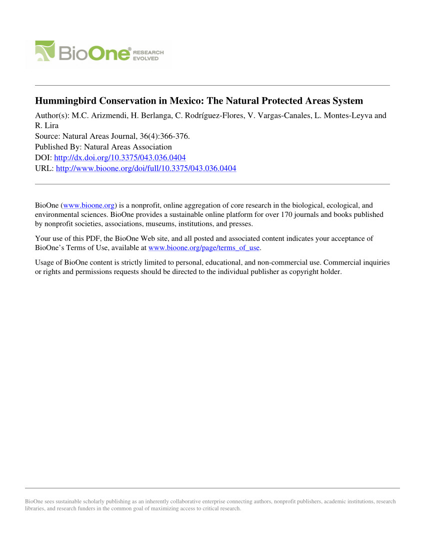 27 Great Franz Hummingbird Vase 2024 free download franz hummingbird vase of pdf of birds and insects the hummingbird myth in ancient mesoamerica within pdf of birds and insects the hummingbird myth in ancient mesoamerica