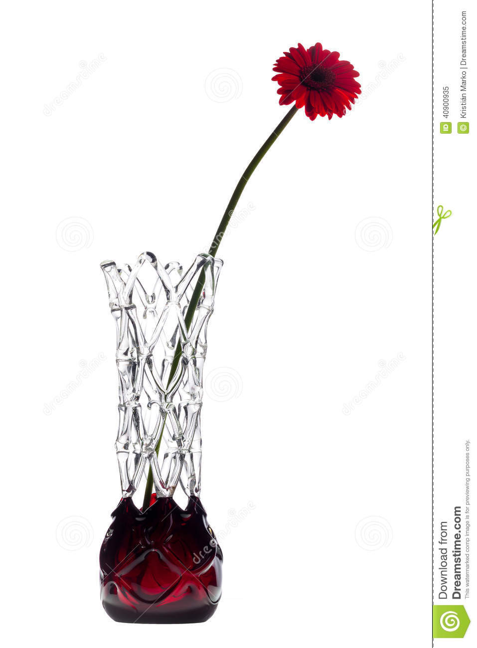 24 Popular Gerbera Daisy Arrangements Vases 2024 free download gerbera daisy arrangements vases of abstract vase on white background with one red gerbera flower stock within download abstract vase on white background with one red gerbera flower stock im