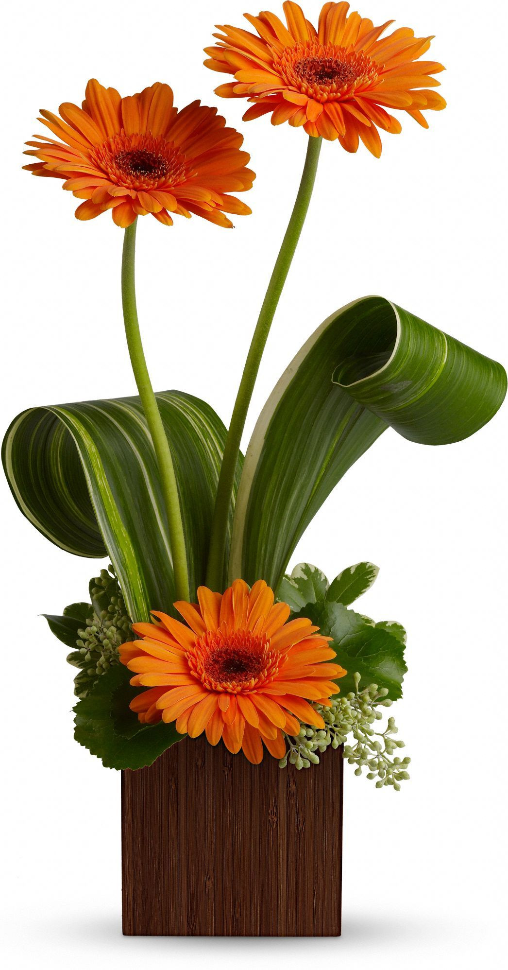 24 Popular Gerbera Daisy Arrangements Vases 2024 free download gerbera daisy arrangements vases of corporate flowers corporate flower centerpiece add pic source on within corporate flowers corporate flower centerpiece add pic source on comment and we wi