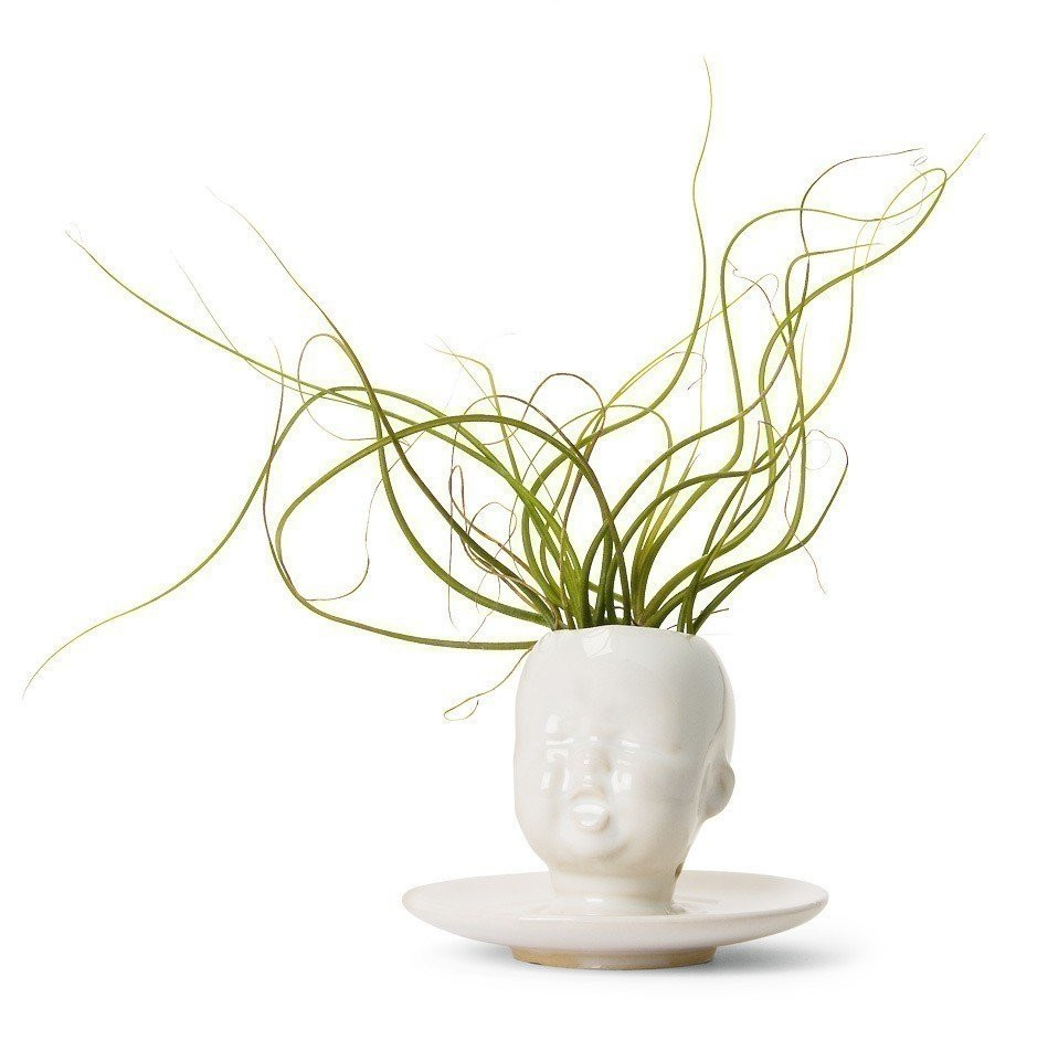 29 Fashionable Giant Dora Maar Vase 2024 free download giant dora maar vase of this giant dora maar vase 525 by jonathan adler looks good from pertaining to the lime ac2b7 depending on whats inside this modern white baby head vase planter the lo