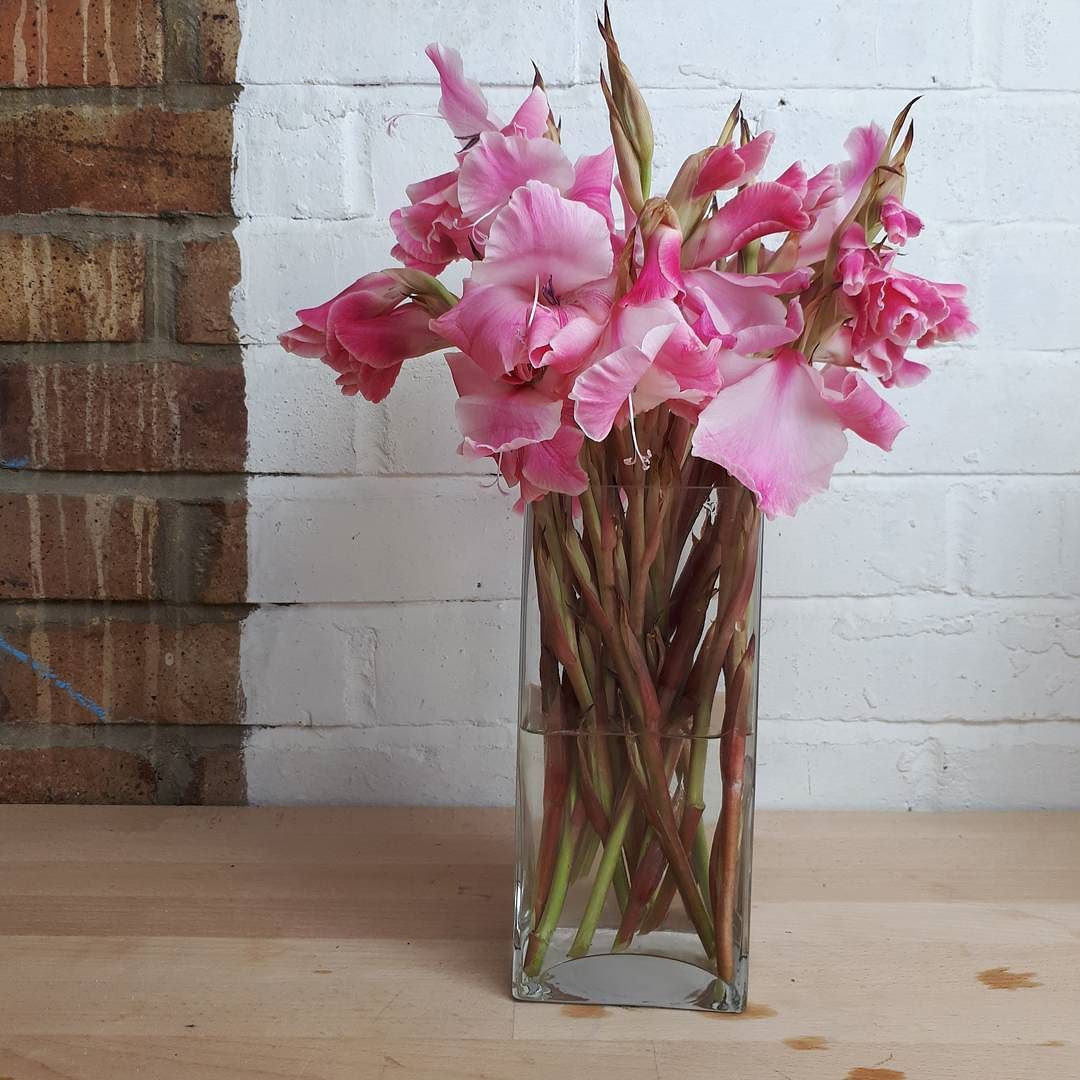 28 Wonderful Gladiolus Vase 2024 free download gladiolus vase of ive chopped my gladioli down again and dead headed the lower blooms regarding ive chopped my gladioli down again and dead headed the lower blooms squeezing