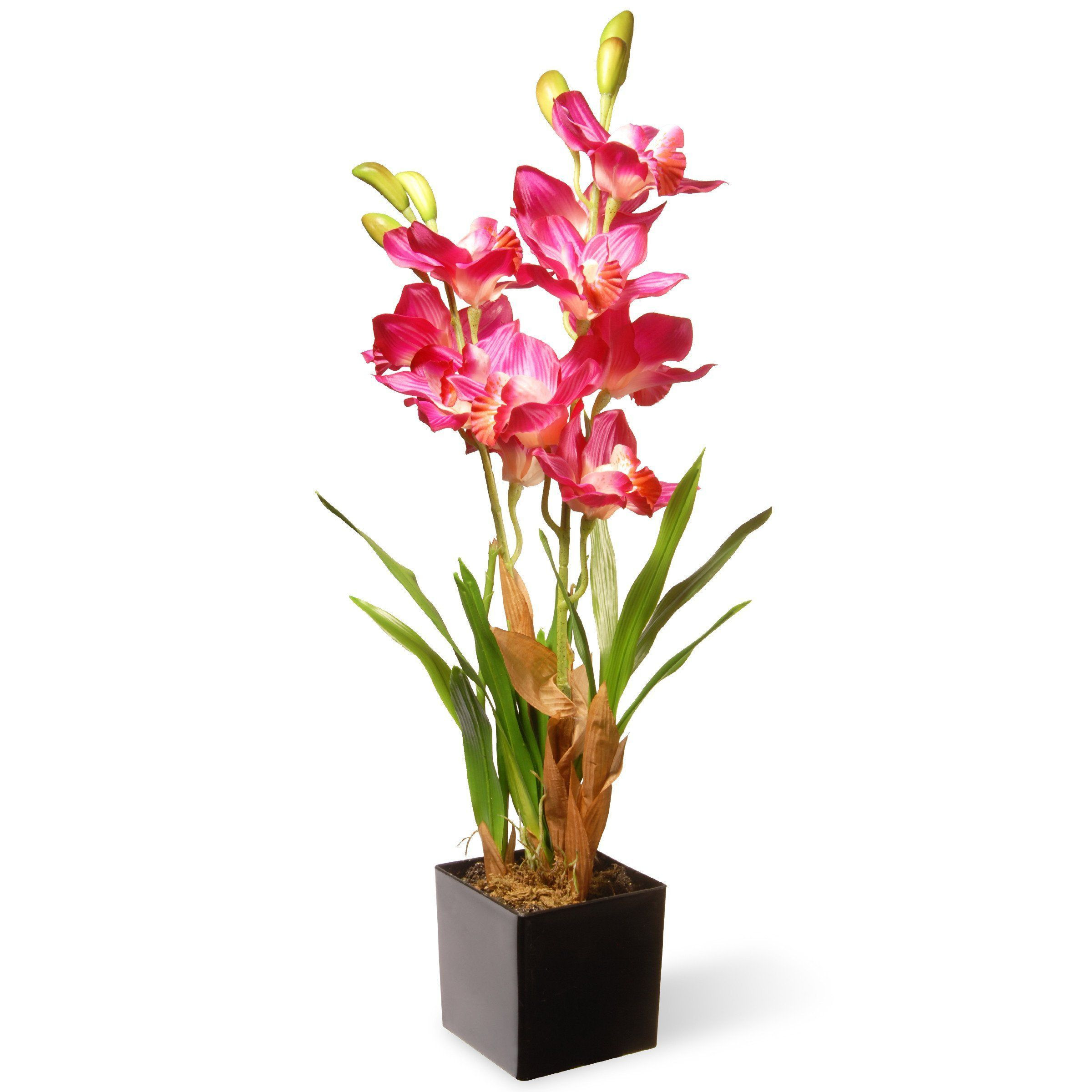 28 Wonderful Gladiolus Vase 2024 free download gladiolus vase of national tree nf36 5289s potted pink orchids pink orchids and products throughout national tree nf36 5289s potted pink orchids