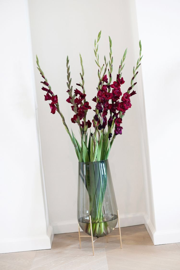 28 Wonderful Gladiolus Vase 2024 free download gladiolus vase of pin by julia nikoletta on kac2bcche pinterest with regard to explore these ideas and more