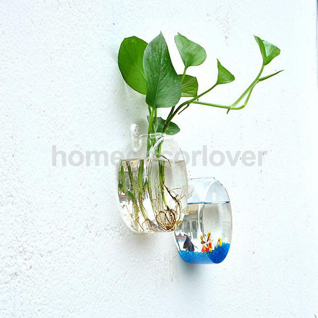 10 Unique Glass Ball Vase 2024 free download glass ball vase of wall hanging plant flower hydroponic flat ball glass vase terrarium in aeproduct getsubject