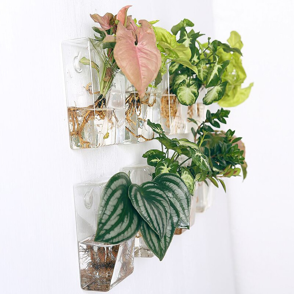 23 Trendy Glass Bud Vase Name Card Holders 2024 free download glass bud vase name card holders of cube shape wall hanging transparent glass flower vase air plant inside cube shape wall hanging transparent glass flower vase air plant hydroponic pot terr