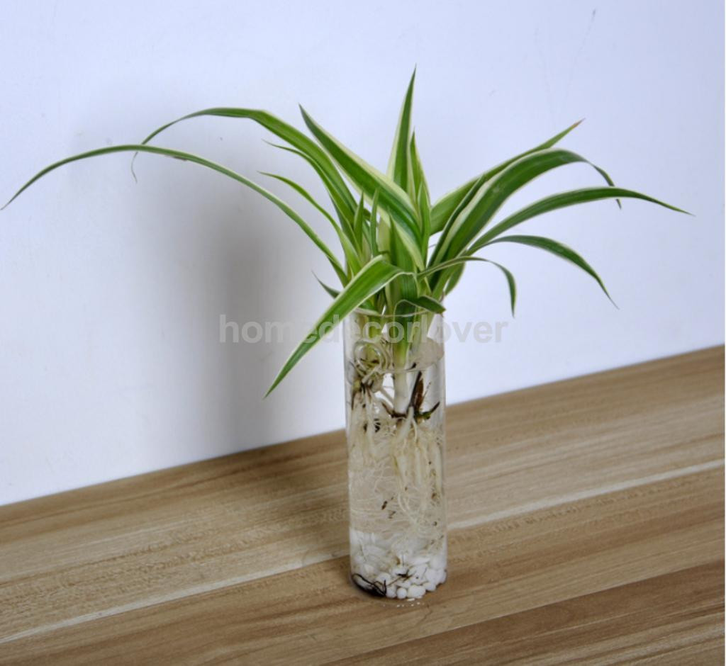 13 Nice Glass Bud Vase Tubes 2024 free download glass bud vase tubes of cylinder clear glass wall hanging vase bottle for plant flower intended for cylinder clear glass wall hanging vase bottle for plant flower decorations in vases from h