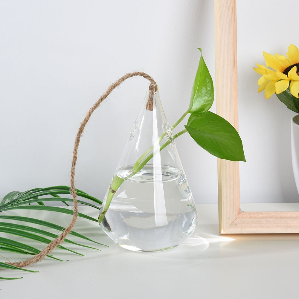 14 Great Glass Cone Vase 2024 free download glass cone vase of aliexpress com buy home garden hanging glass ball vase flower regarding aliexpress com buy home garden hanging glass ball vase flower plant pot terrarium container party w