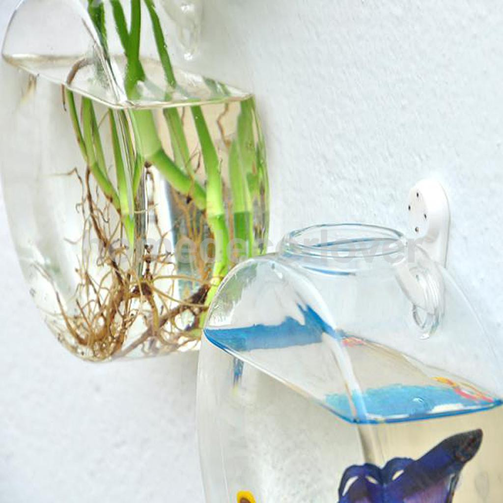 25 Fashionable Glass Fish Vase 2024 free download glass fish vase of wall hanging plant flower hydroponic flat ball glass vase terrarium in aeproduct getsubject